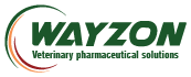 wayzon logo