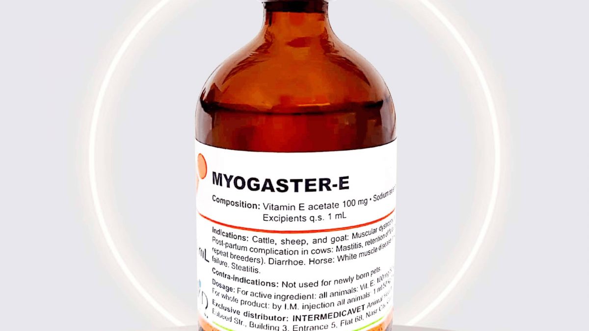 Myogaster–E