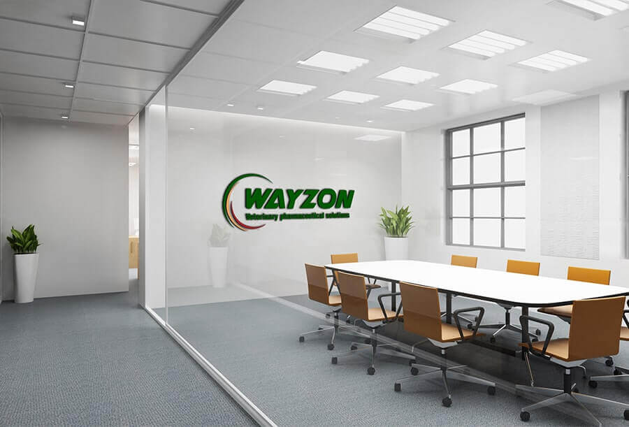 wayzon pharma