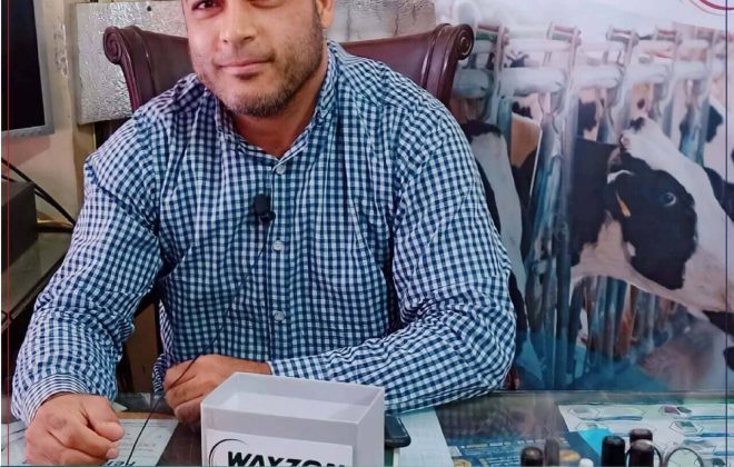 box wayzon