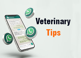 veterinary tips