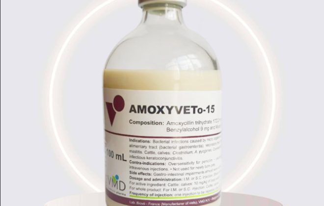AMOXYVETo-15