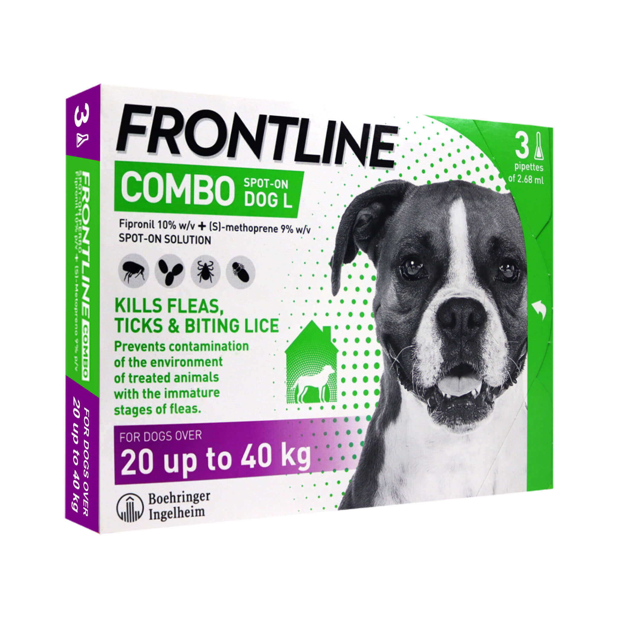 Frontline-dog