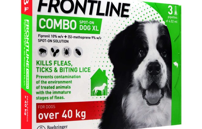 Frontline-dog2