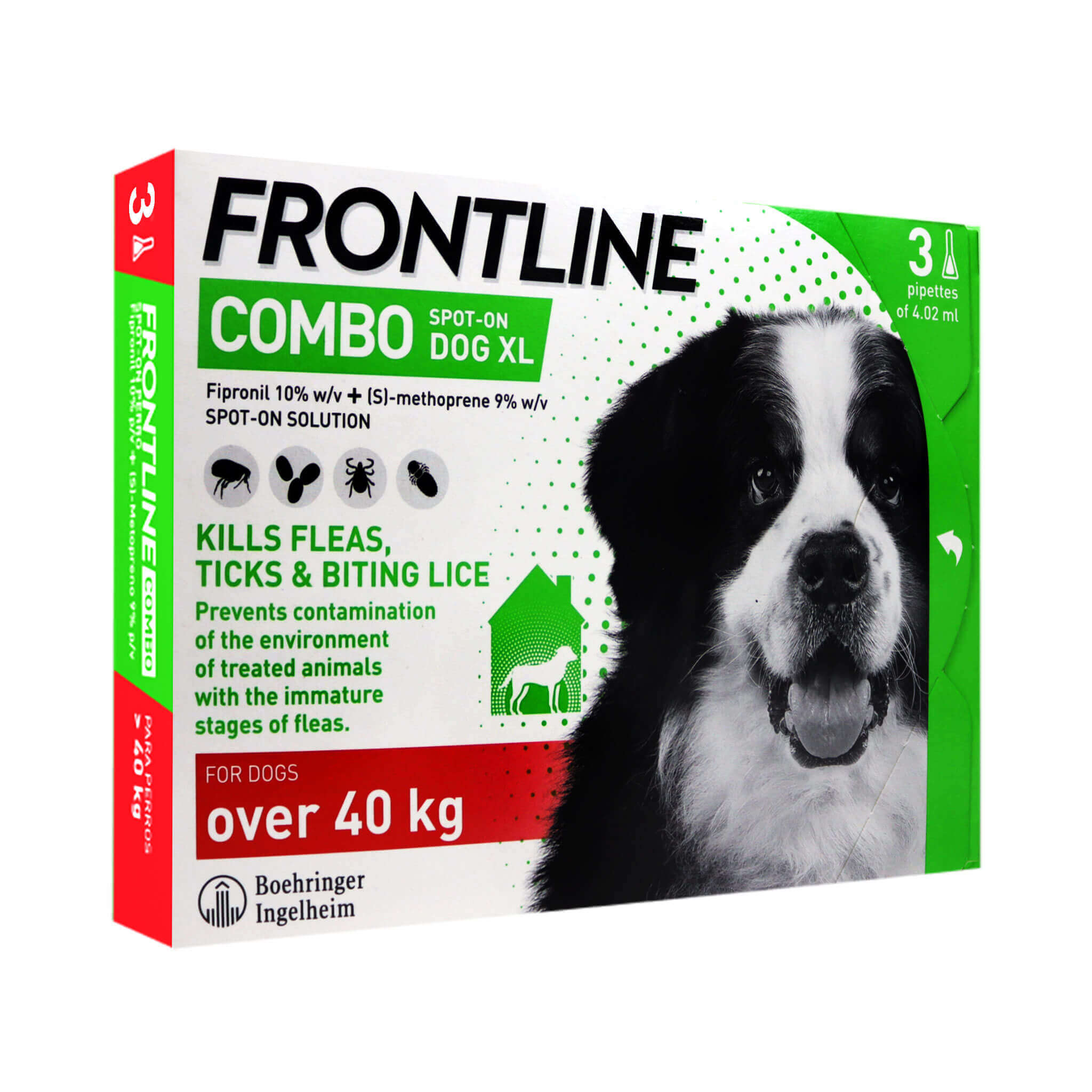 Frontline-dog2