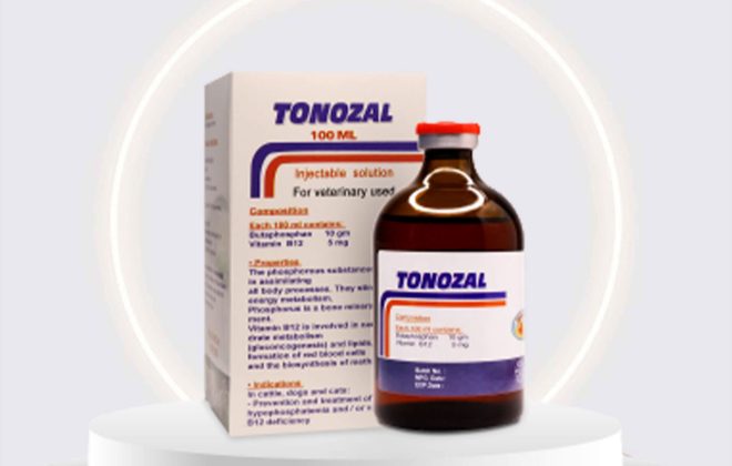 Tonozal