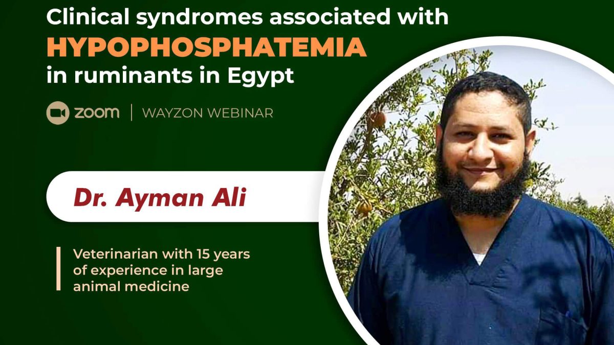 vet webinar