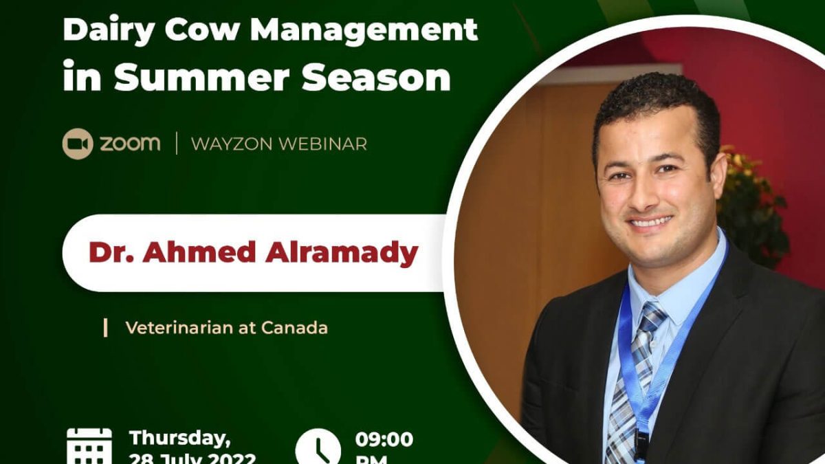 wayzon webinar