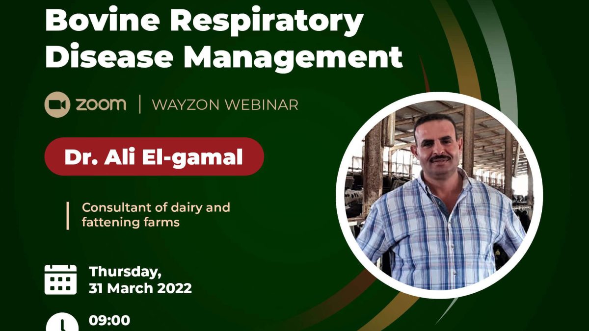 wayzon webinar